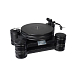 Turntable Transrotor Dark Star Reference Rega RB 330 Uccello - img.3