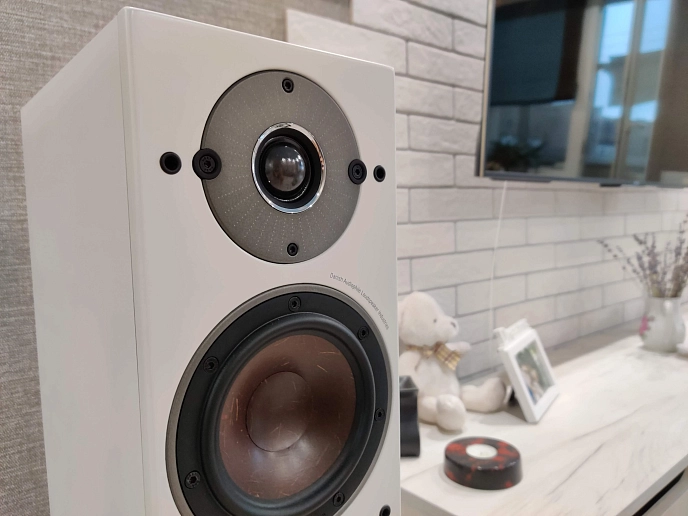 Floorstanding Speakers Dali Oberon 5 Light Oak - img.9