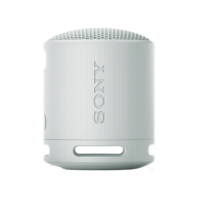 Wireless Speaker Sony SRS-XB100 Light Gray - img.1