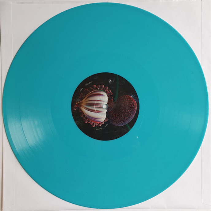 Vinyl Record Bjork – Fossora (Turquoise 2023 (2nd pressing)) 2LP - img.12