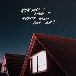 Vinyl Record The Amazons – How Will I Know If Heaven Will Find Me? - Rad - LP