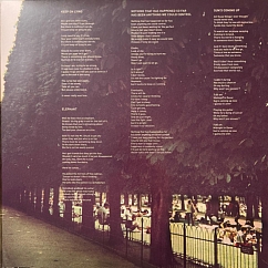 Vinyl Record Tame Impala - Lonerism - 2LP