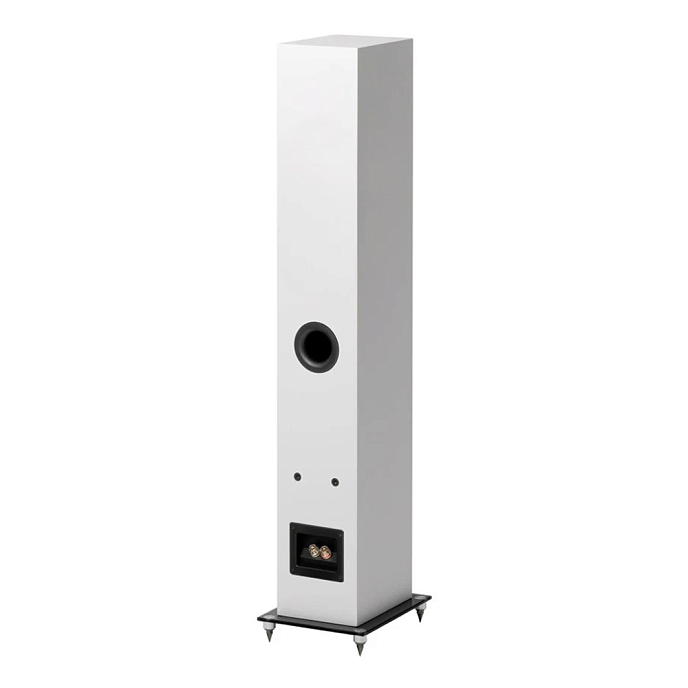 Floorstanding Speakers Pro-Ject Speaker Box 10 E Carbon Satin White - img.1
