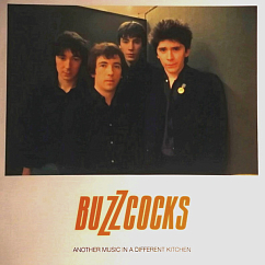 Vinyl Record Buzzcocks – Another Music In A Different Kitchen (2018 Remasted) LP