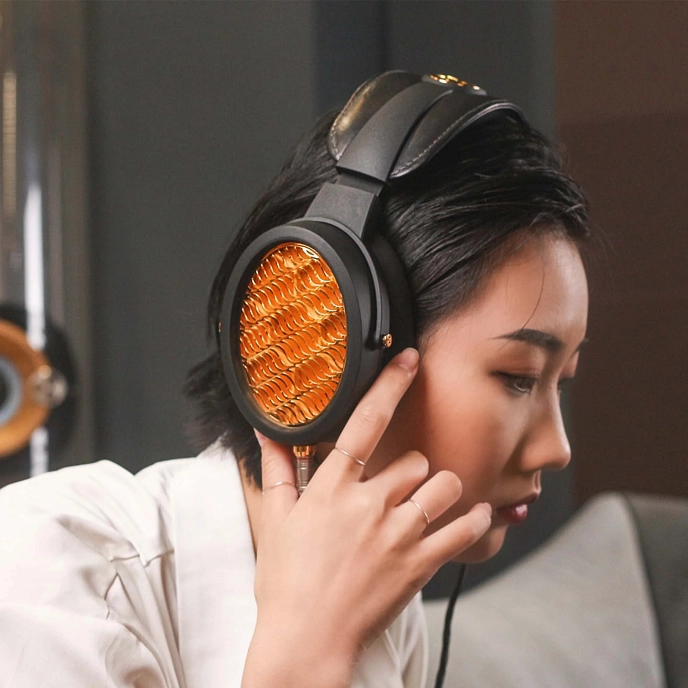 Headphone Amplifiers and DACs Warwick Acoustics Aperio Amplifier Gold - img.23