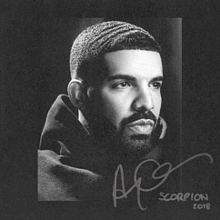 Vinyl Record Drake Scorpion LP