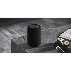 Portable speaker Audio Pro A10 MKII W Black