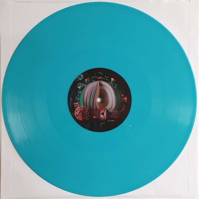 Vinyl Record Bjork – Fossora (Turquoise 2023 (2nd pressing)) 2LP - img.10