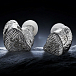 In-ear headphones EarAcoustic SPA Limited Edition Silver Snake Collectors Version Silver - img.5 In-ear headphones EarAcoustic SPA Limited Edition Silver Snake Collectors Version Silver - img.5