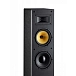 Floorstanding Speakers Davis Acoustics Mani MK2 Black Ash - img.4