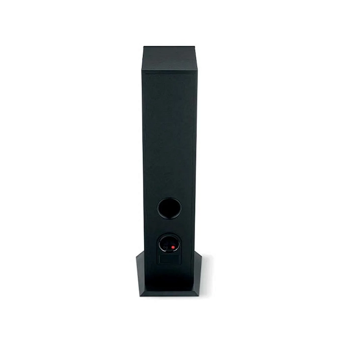 Floorstanding Speakers Focal Theva N3 Black - img.6