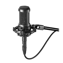 Studio microphone Audio-Technica AT2050
