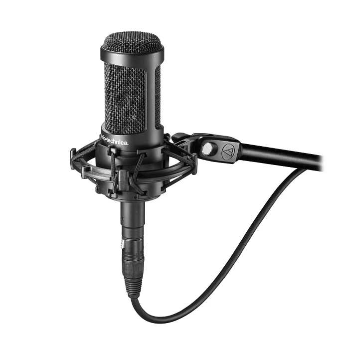 Studio microphone Audio-Technica AT2050 - img.1