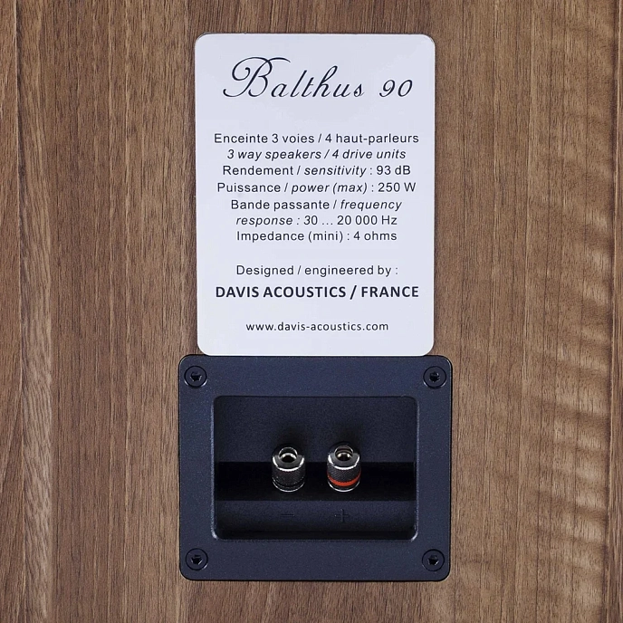 Floorstanding Speakers Davis Acoustics Balthus 90 Walnut - img.4