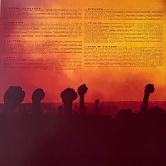 Vinyl Record Disturbed - Ten Thousand Fists (20th Anniversary) (Yellow Flame) - 2LP