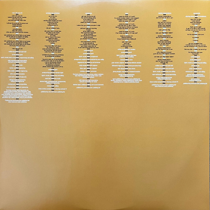 Vinyl Record Bjork - Volta - 2LP - img.5