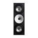 Studio monitor Amphion Two18 Black - img.0