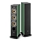 Focal Aria Evo X N2 Green Moss