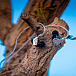 - img.6 In-ear headphones Campfire Audio Astrolith Stainless Steel - img.6