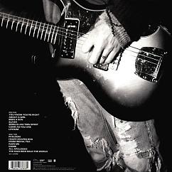 Vinyl Record Nirvana Nirvana LP (45rpm)