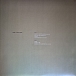 Vinyl Record Moby - Future Quiet (coloured) - 2LP - img.10