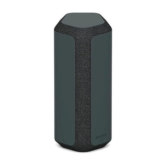 Portable speaker Sony SRS-XE300 Black - img.0