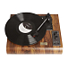 Kit MJI Audio M2012 Wood + MJI Vinyl Records Holder R25 (Bundle) - img.1