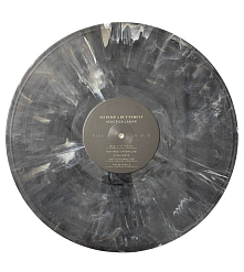 Vinyl Record Kendrick Lamar – To Pimp A Butterfly - 10 Year Anniversary - Metallic Blends - 2LP