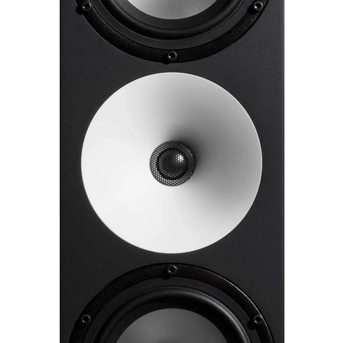 Studio monitor Amphion Two15 Black - img.5