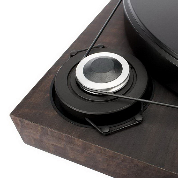 Turntable Pro-Ject 2Xperience SB 2M Silver Eucalyptus - img.3