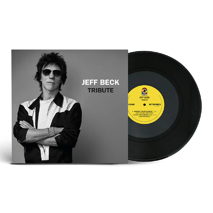 Vinyl Record Jeff Beck - Tribute LP - img.1