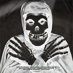 Vinyl Record The Misfits - Collection II LP