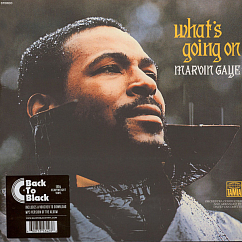 Vinyl Record Marvin Gaye - What's Going On