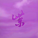 Vinyl Record Stone Temple Pilots – Purple Rarities (Purple) (BLACK FRIDAY) LP - img.0