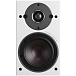 Bookshelf speakers Dali Oberon 1 Light Oak - img.2