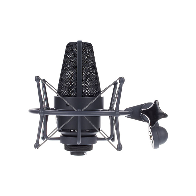 Studio microphone Neumann TLM 103 MT Studio Set Black - img.5