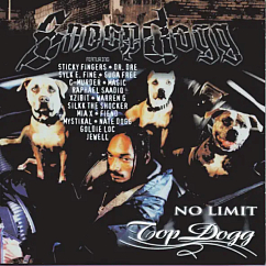 Сassette Tape Snoop Dogg - No Limit Top Dogg