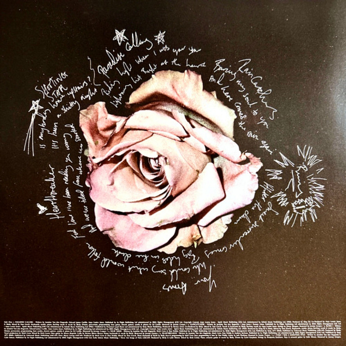 Vinyl Record Birdy - Portraits (Violet Translucent Vinyl) LP - img.6