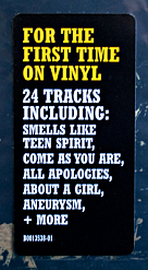 Vinyl Record Nirvana - Live At Reading