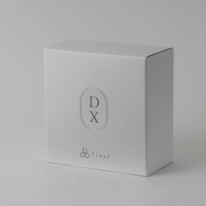 Over-ear headphones Final Audio DX3000CL Black - img.9