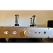 Headphone Amplifier HeadAmp Blue Hawaii Special Edition Satin Champagne - img.5