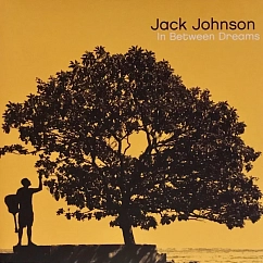 Vinyl Record Jack Johnson - In Between Dreams LP