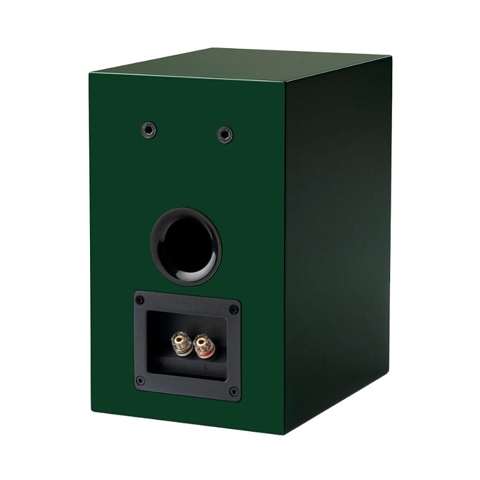 Bookshelf speakers Pro-Ject Speaker Box 5 E Carbon Satin Green - img.2