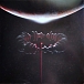 Vinyl Record Muse - The Wow! Signal (Translucent Red & Grey Galaxy) LP - img.1