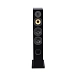 Floorstanding Speakers Davis Acoustics Courbet N 5 Black - img.1