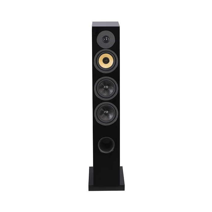 Floorstanding Speakers Davis Acoustics Courbet N 5 Black - img.1
