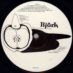 Vinyl Record Bjork - Greatest Hits