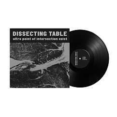 Vinyl Record Dissecting Table - Ultra Point On Intersection Exist LP