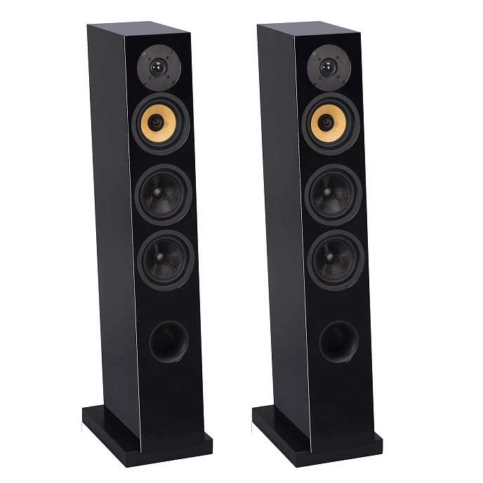 Floorstanding Speakers Davis Acoustics Courbet N 5 Black - img.0