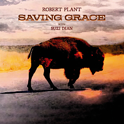 Vinyl Record Robert Plant With Suzi Dian - Saving Grace LP